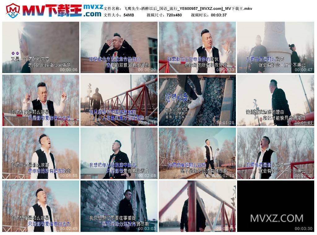 飞鹰先生-酒醉以后_国语_流行_YE600957